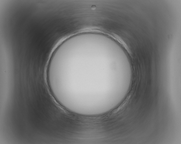 X0000112041277200908031035
