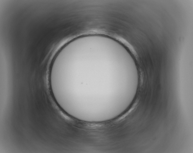 X0000112041278200908031035