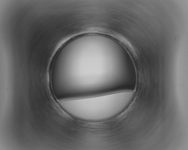 X0000112041280200908031035