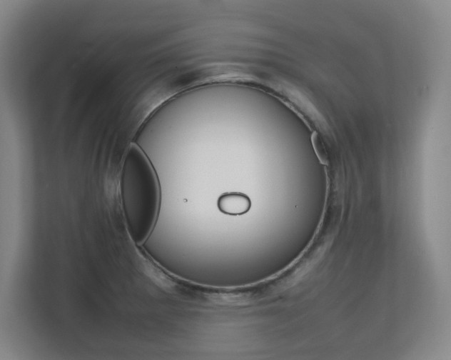 X0000112041281200908031035