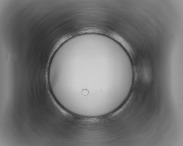 X0000112041282200908031035