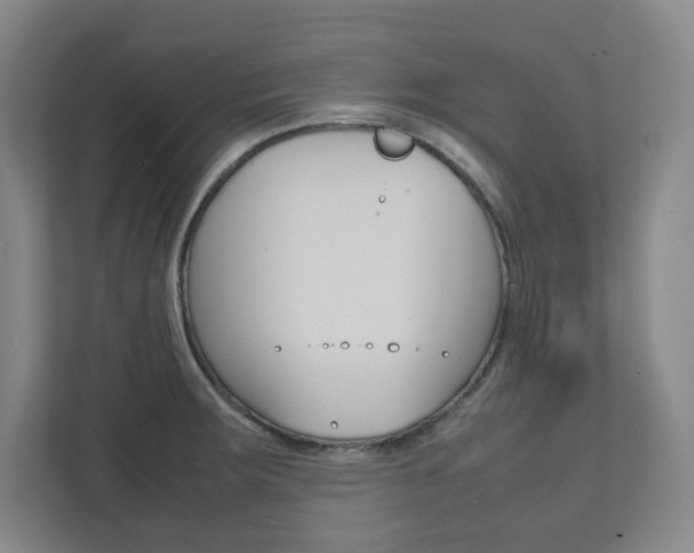 X0000112041283200908031035