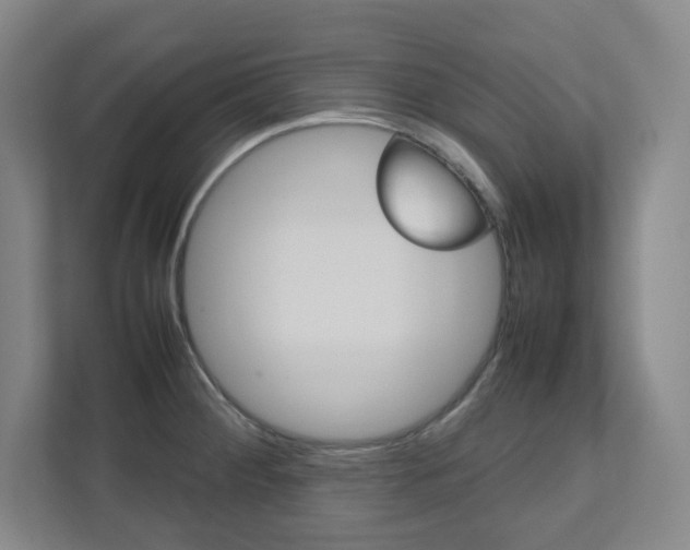 X0000112041284200908031035