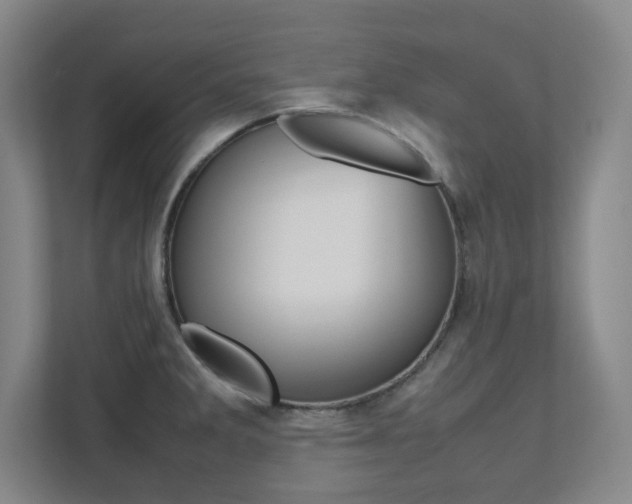 X0000112041285200908031035