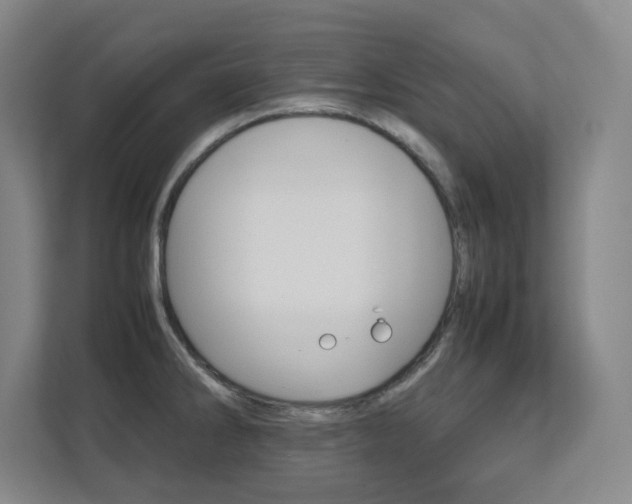 X0000112041286200908031035