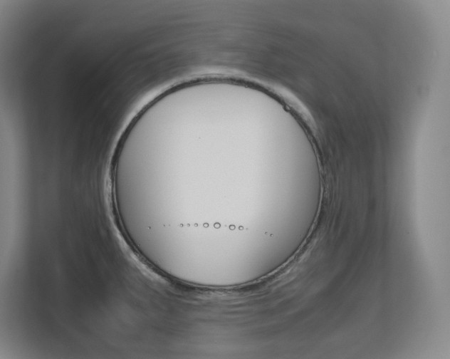 X0000112041287200908031035