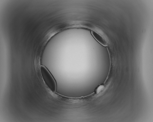 X0000112041289200908031035
