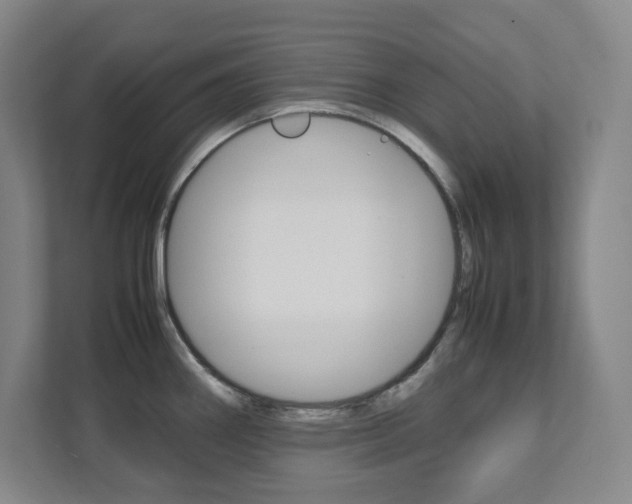X0000112041290200908031035