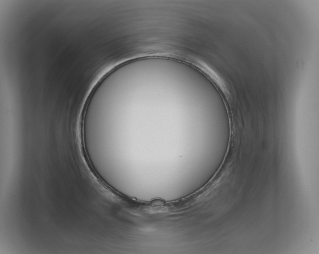 X0000112041291200908031035
