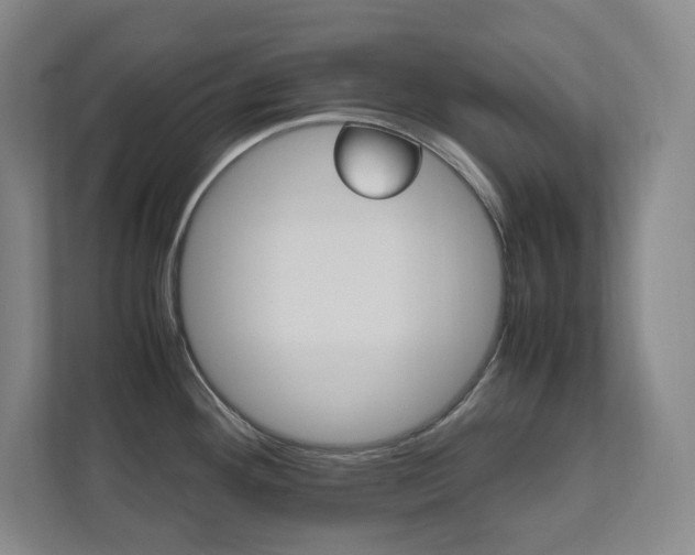 X0000112041292200908031035