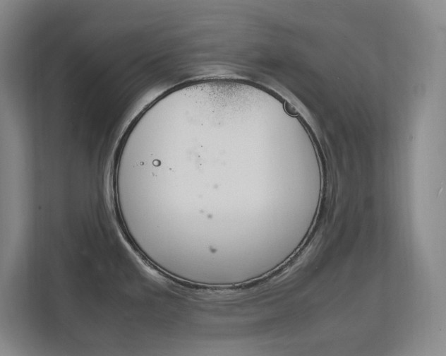 X0000112041293200908031035