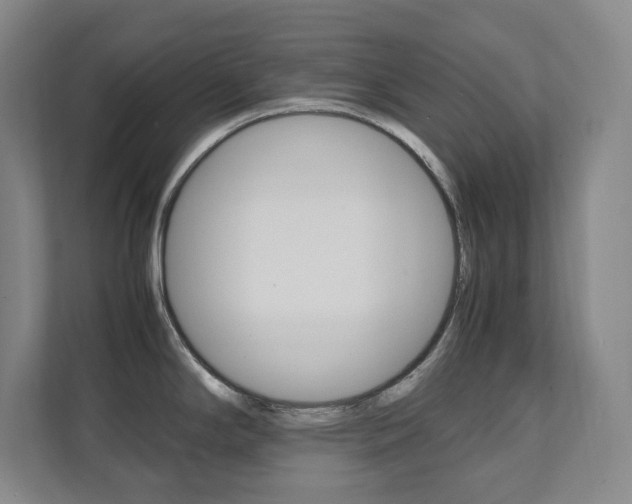 X0000112041294200908031035