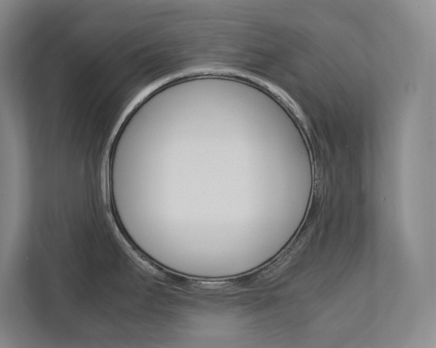 X0000112041295200908031035
