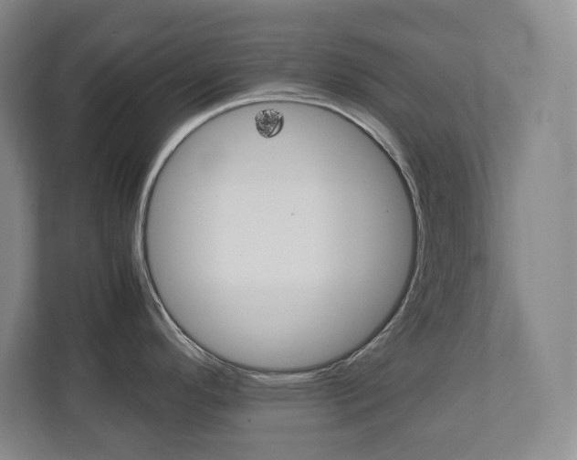 X0000112041296200908031035