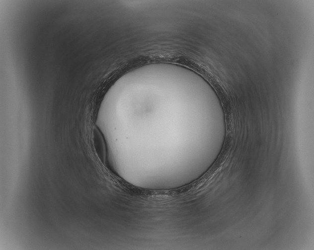 X0000112041297200908031034