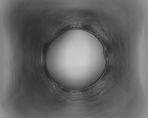 X0000112041298200908031034