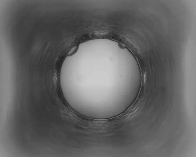 X0000112041299200908031034