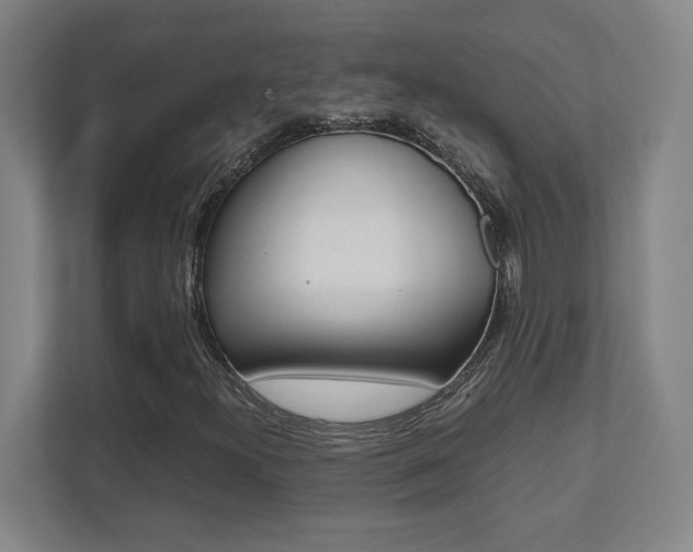 X0000112041300200908031034