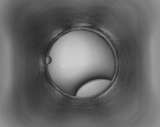 X0000112041305200908031034