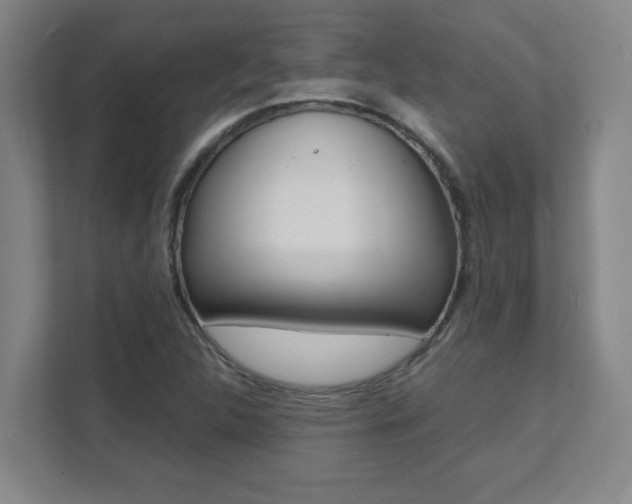 X0000112041312200908031034