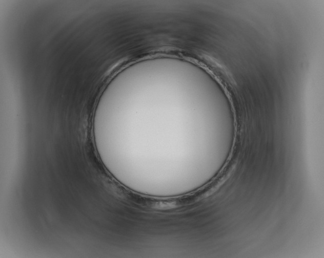 X0000112041313200908031034
