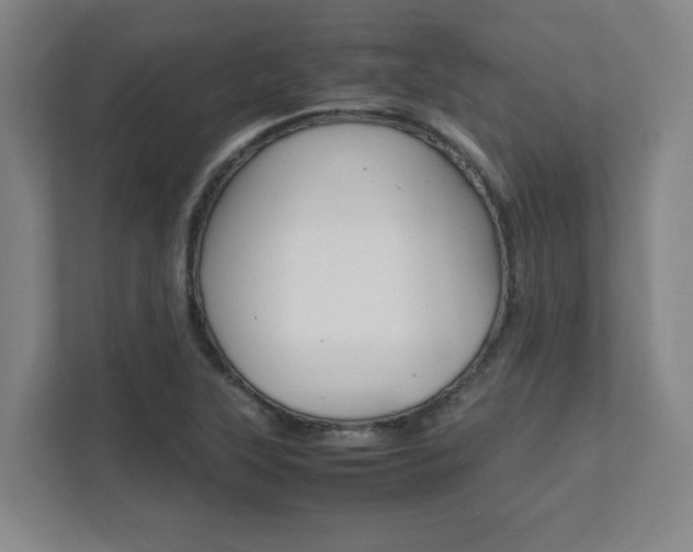 X0000112041315200908031034