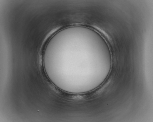 X0000112041317200908031034