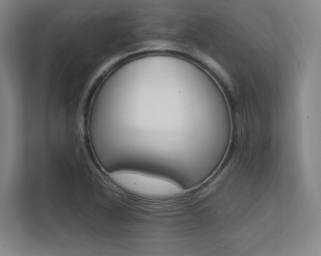 X0000112041318200908031034