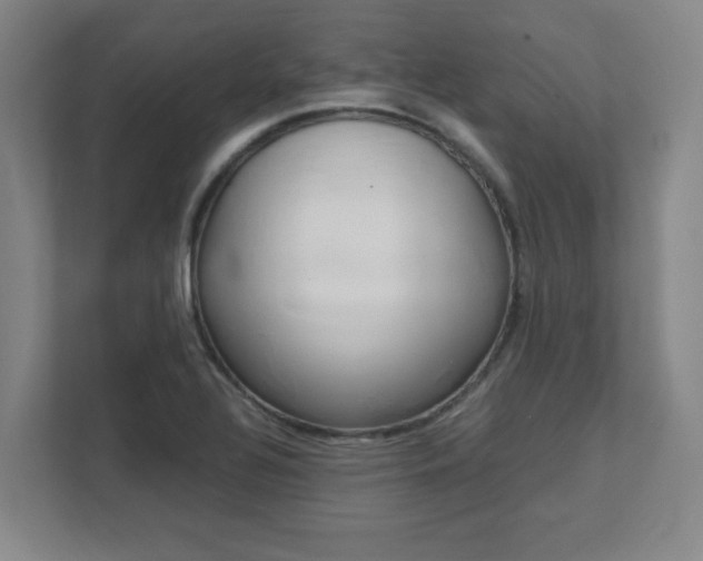 X0000112041320200908031034