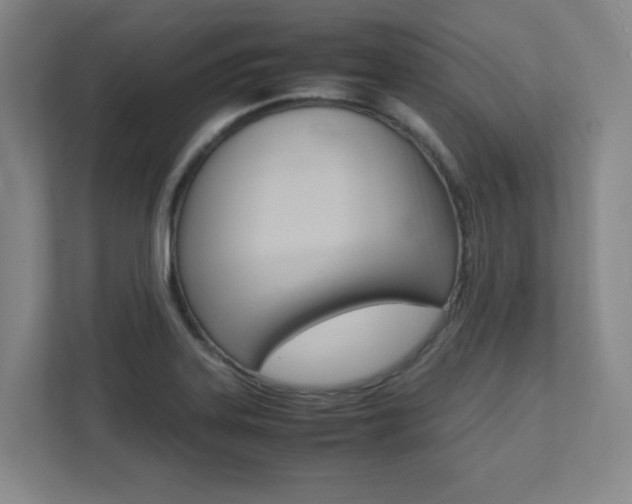 X0000112041323200908031034