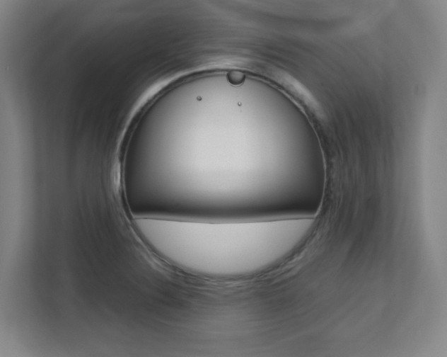 X0000112041324200908031034