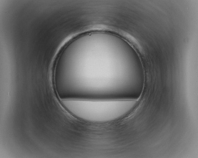 X0000112041326200908031034