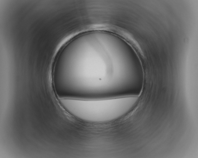X0000112041328200908031034