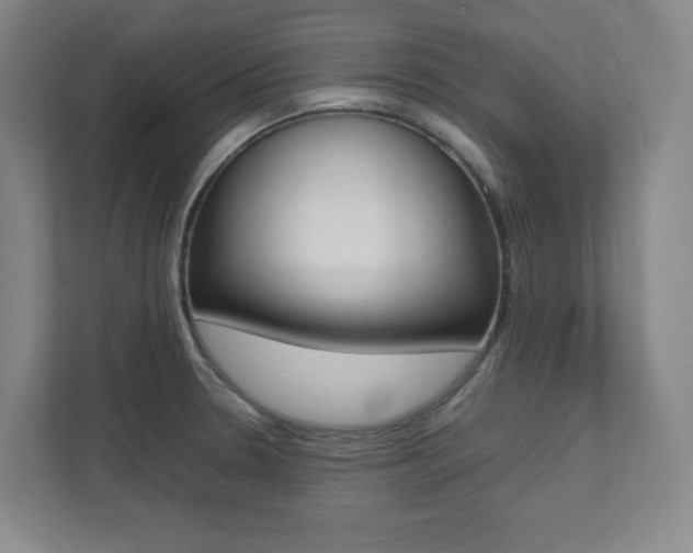 X0000112041330200908031034