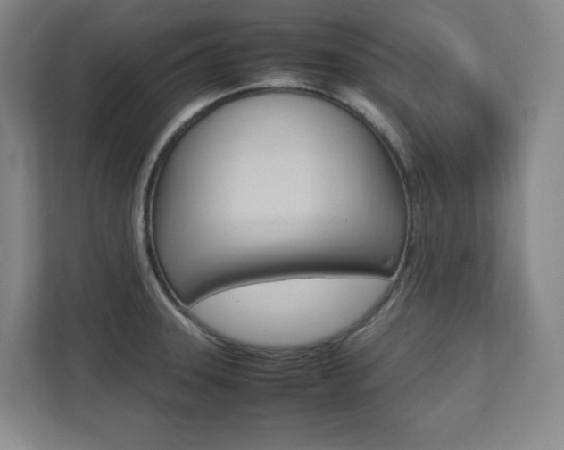 X0000112041331200908031034