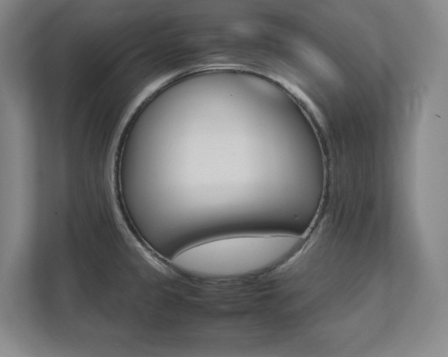 X0000112041333200908031034