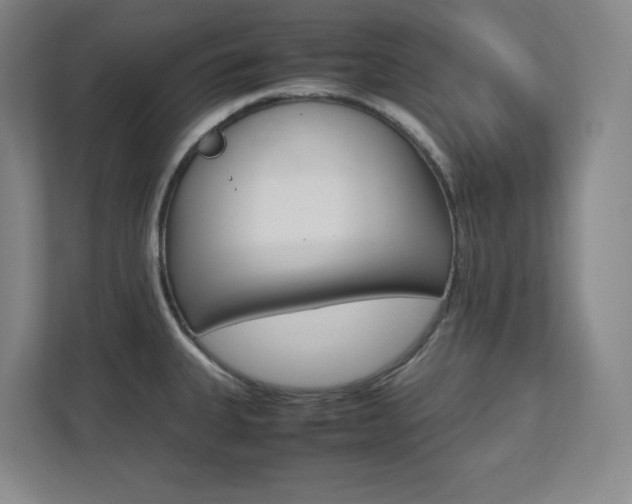 X0000112041335200908031034