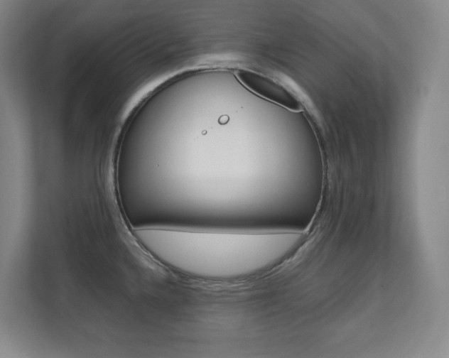 X0000112041336200908031034