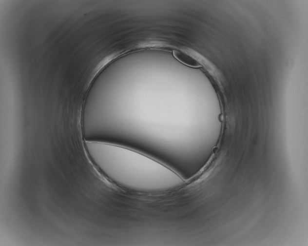 X0000112041337200908031034