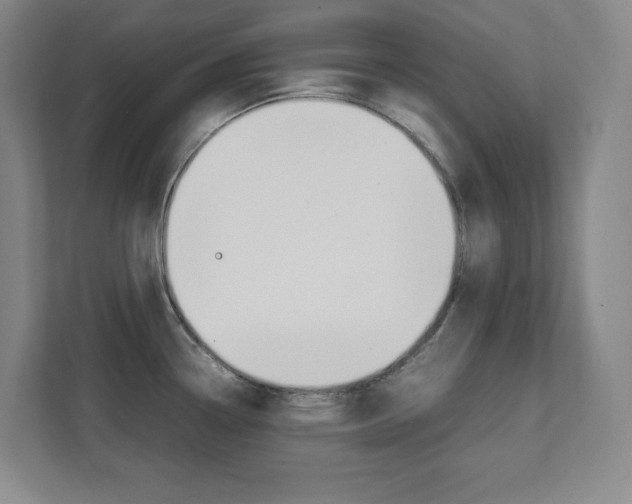 X0000112041338200908031034