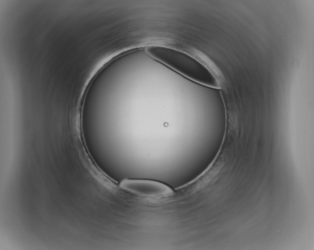 X0000112041340200908031034