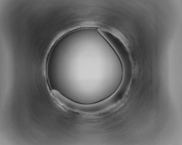 X0000112041342200908031034
