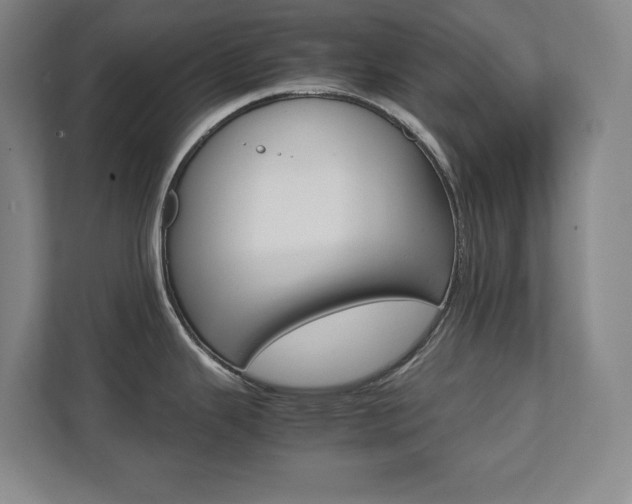X0000112041343200908031034