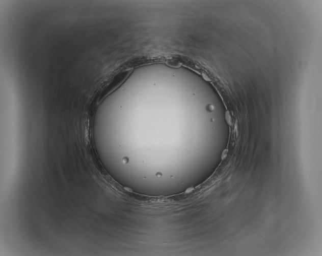 X0000112041348200908031034