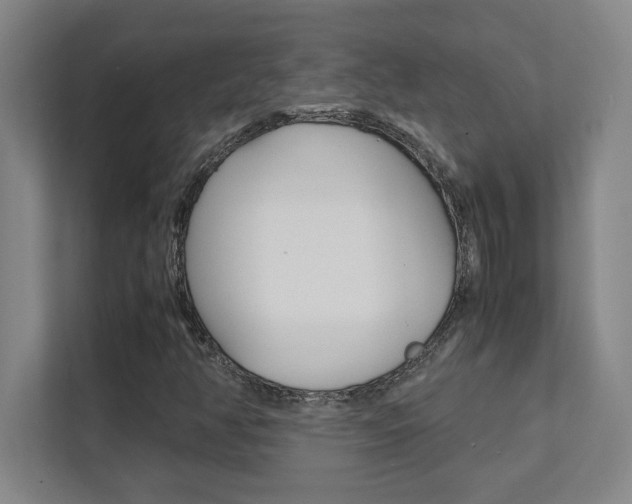 X0000112041350200908031034
