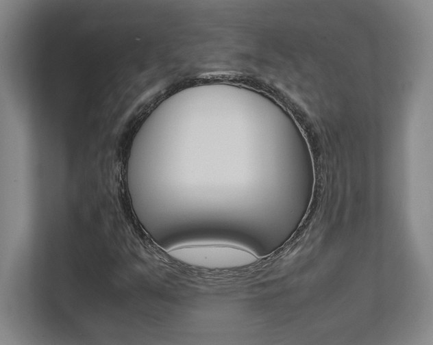 X0000112041351200908031034