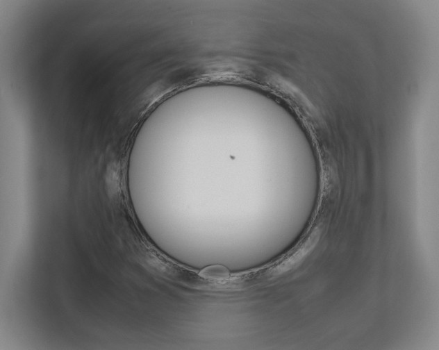 X0000112041353200908031034