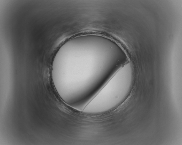 X0000112041355200908031034