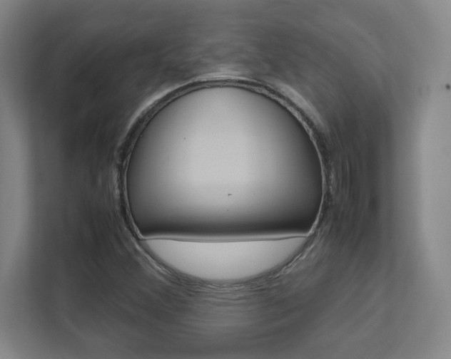 X0000112041356200908031034