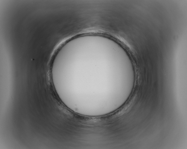 X0000112041358200908031034